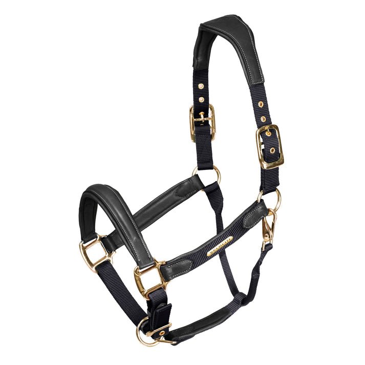 Velociti LUSSO Padded Leather Headcollar - Nags Essentials