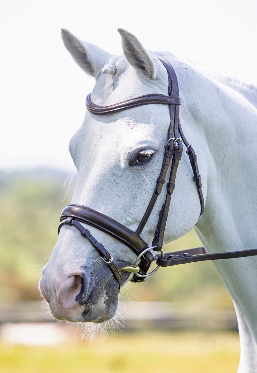 Velociti RAPIDA Dressage Bridle with Flash - Nags Essentials
