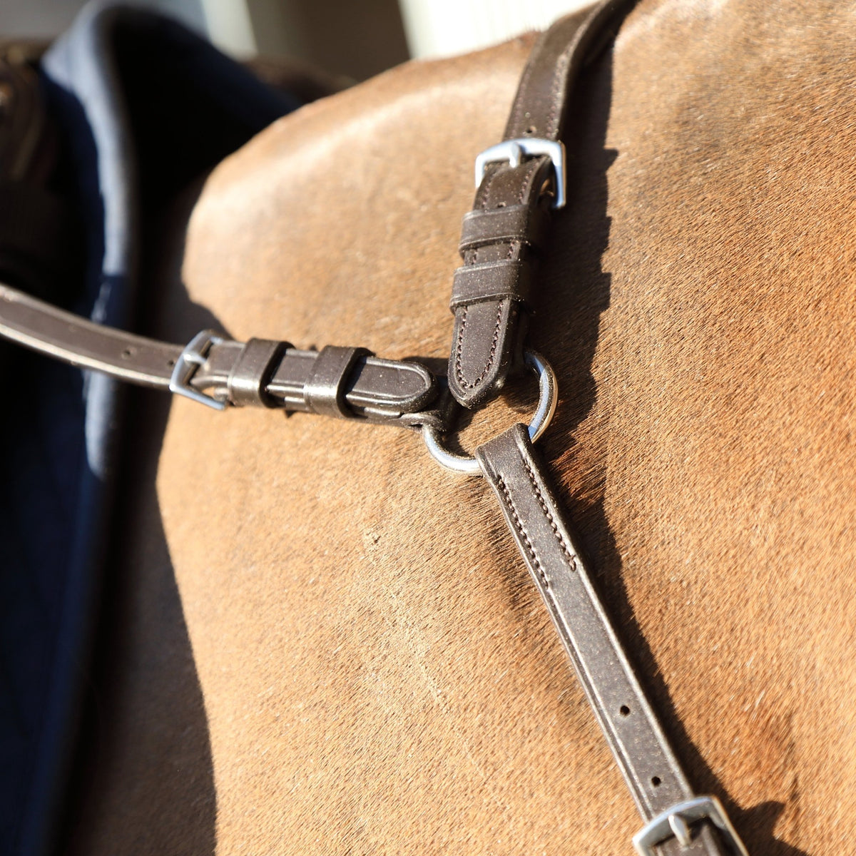 Velociti RAPIDA Ergonomic Breastplate - Nags Essentials