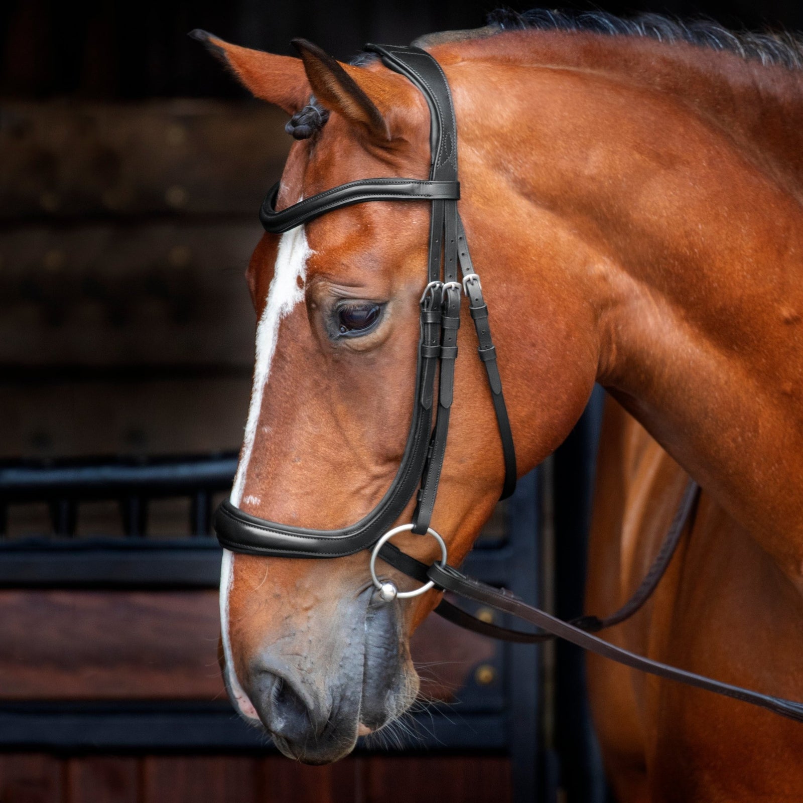 Velociti RAPIDA Ergonomic Curved Cavesson Bridle - Nags Essentials