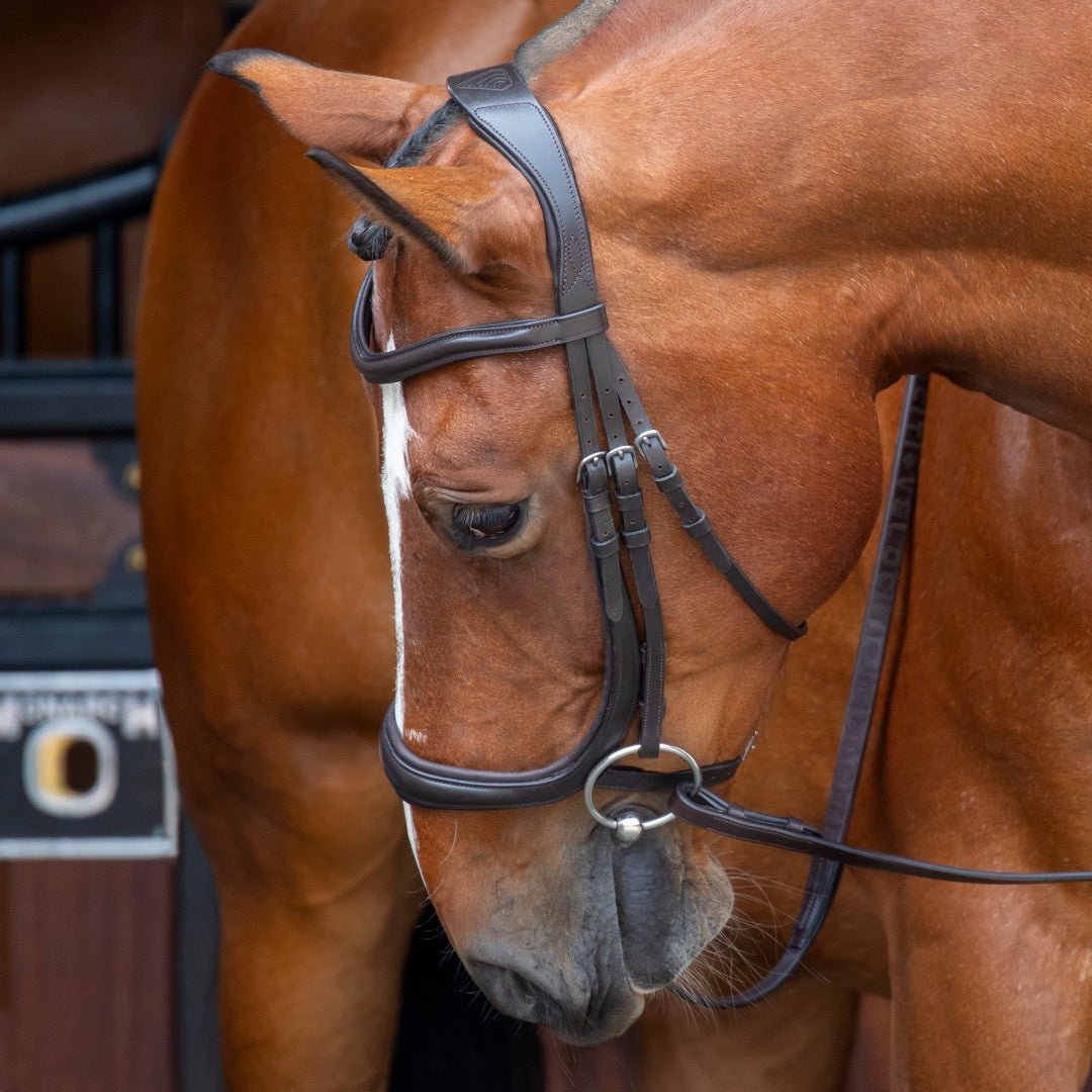 Velociti RAPIDA Ergonomic Curved Cavesson Bridle - Nags Essentials