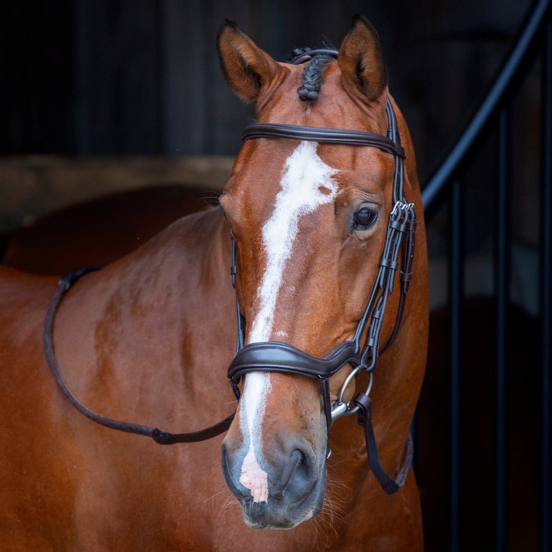 Velociti RAPIDA Ergonomic Flash Bridle - Nags Essentials
