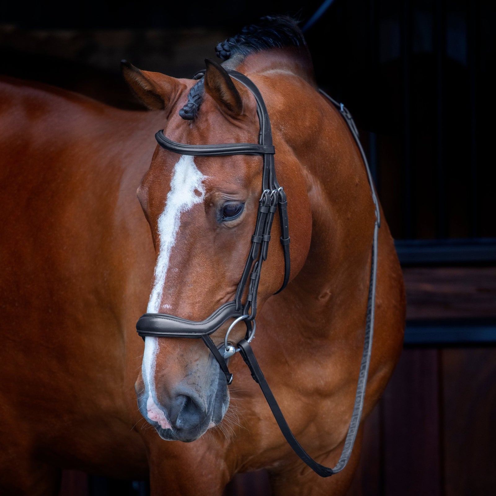 Velociti RAPIDA Ergonomic Flash Bridle - Nags Essentials