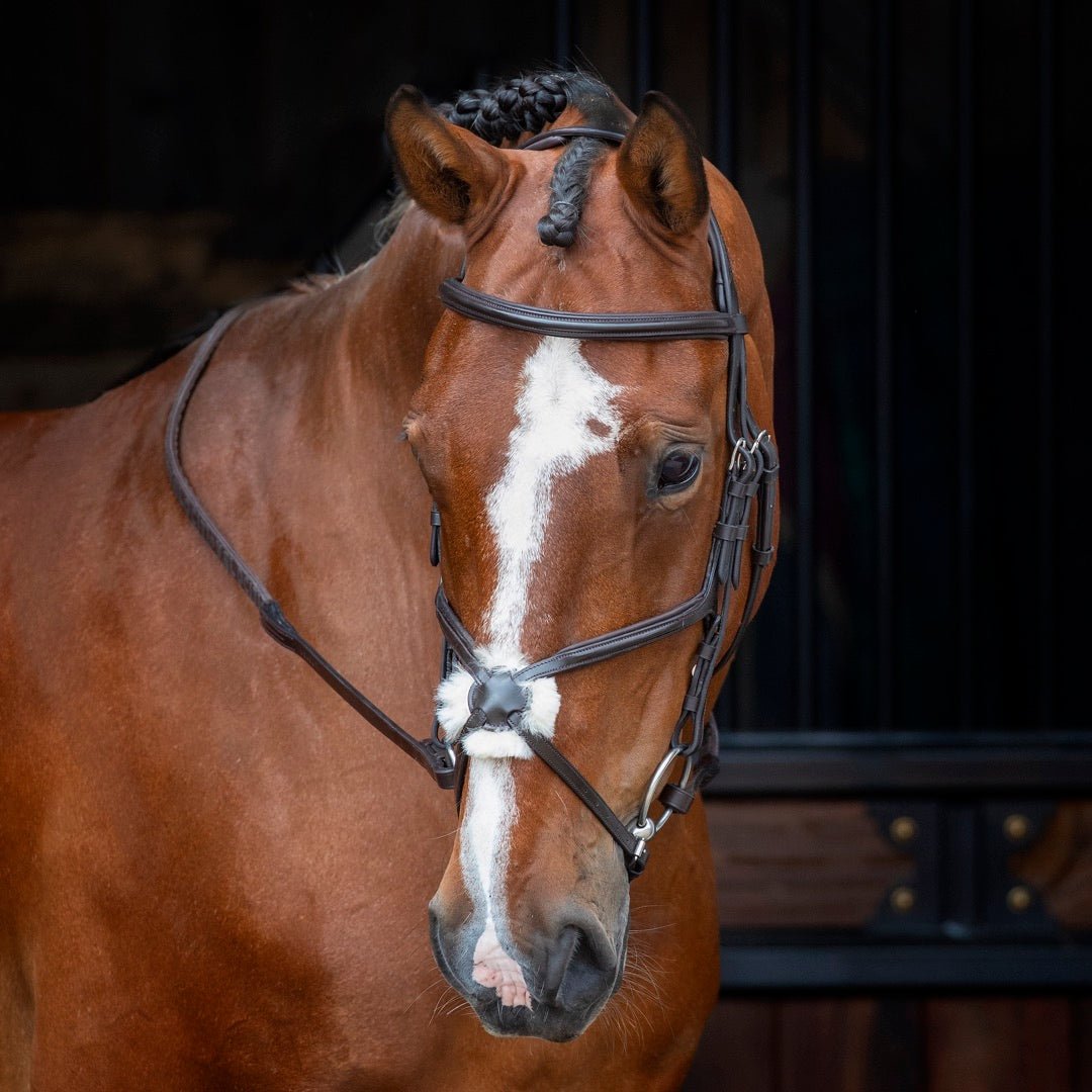 Velociti RAPIDA Grackle Bridle - Nags Essentials