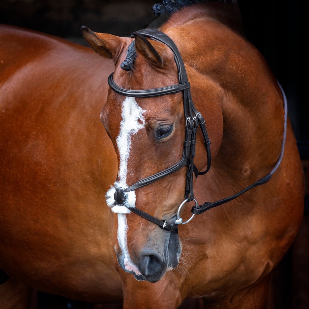 Velociti RAPIDA Grackle Bridle - Nags Essentials