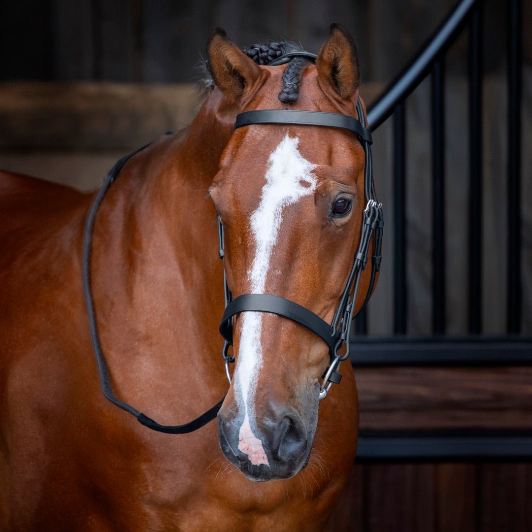 Velociti RAPIDA Hunter Cavesson Bridle - Nags Essentials