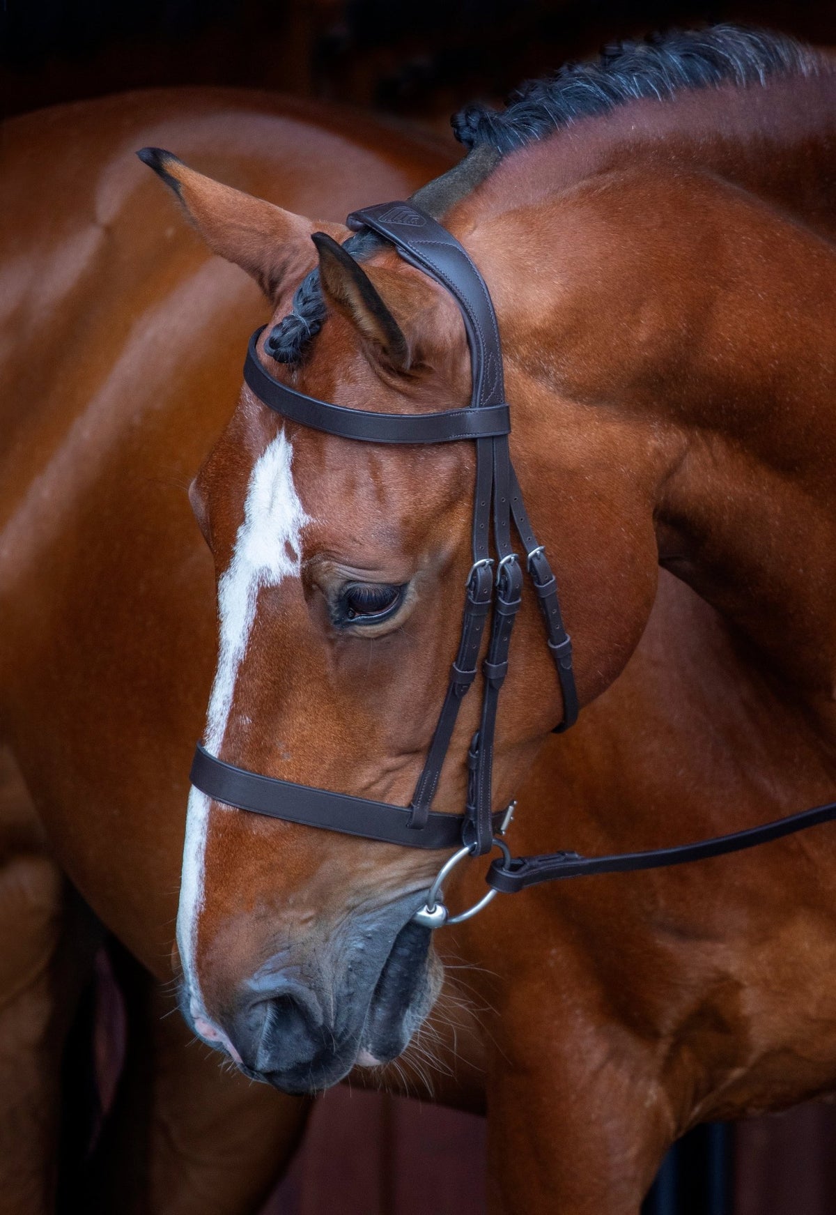 Velociti RAPIDA Hunter Cavesson Bridle - Nags Essentials