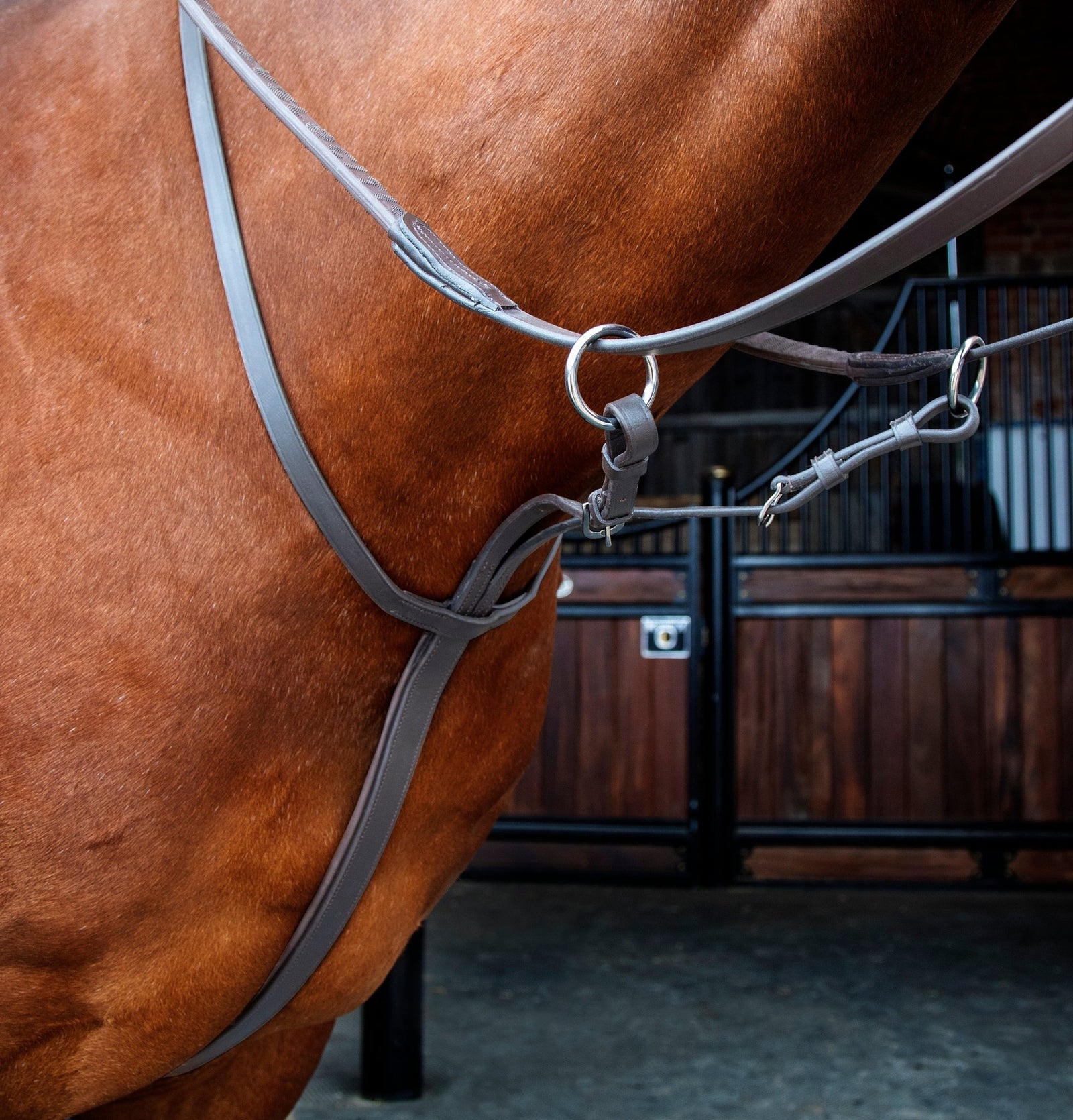 Velociti RAPIDA Running Martingale - Nags Essentials