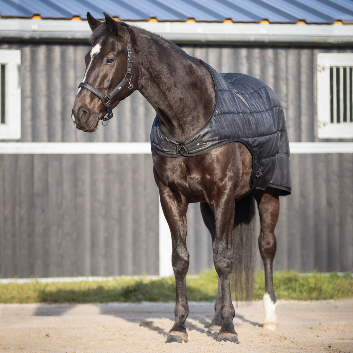 Walker Rug 100g Glitter - Nags Essentials