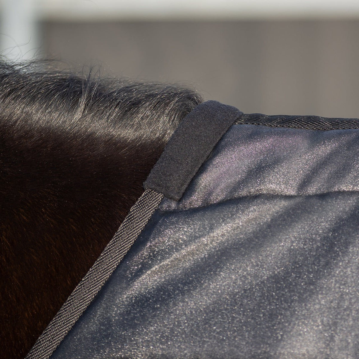 Walker Rug 100g Glitter - Nags Essentials