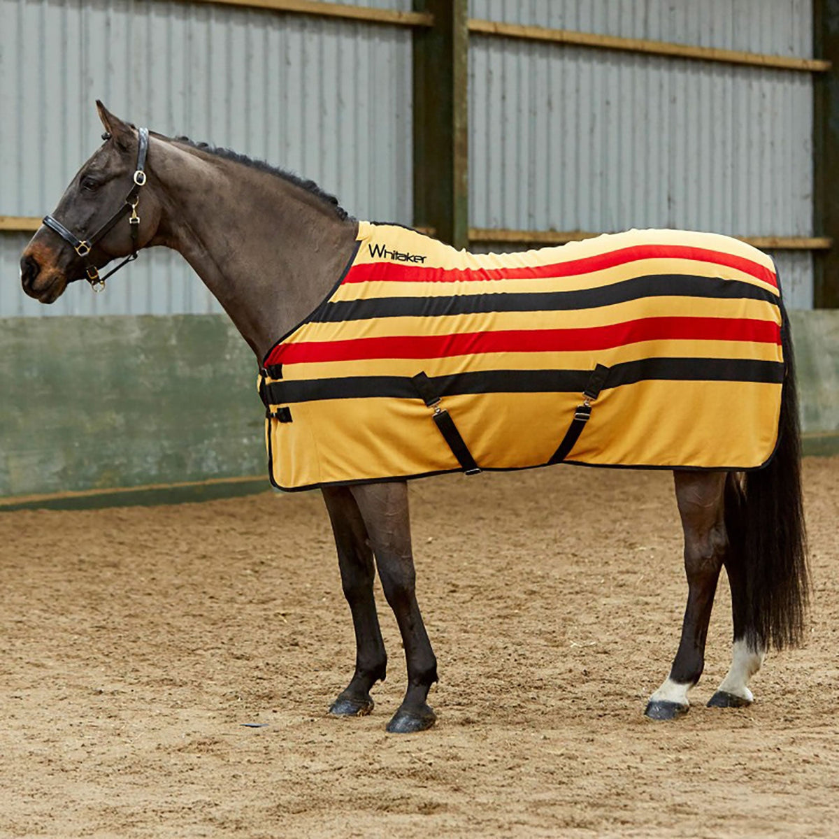 Whitaker Aintree Fleece Stripe Rug Yellow - Nags Essentials