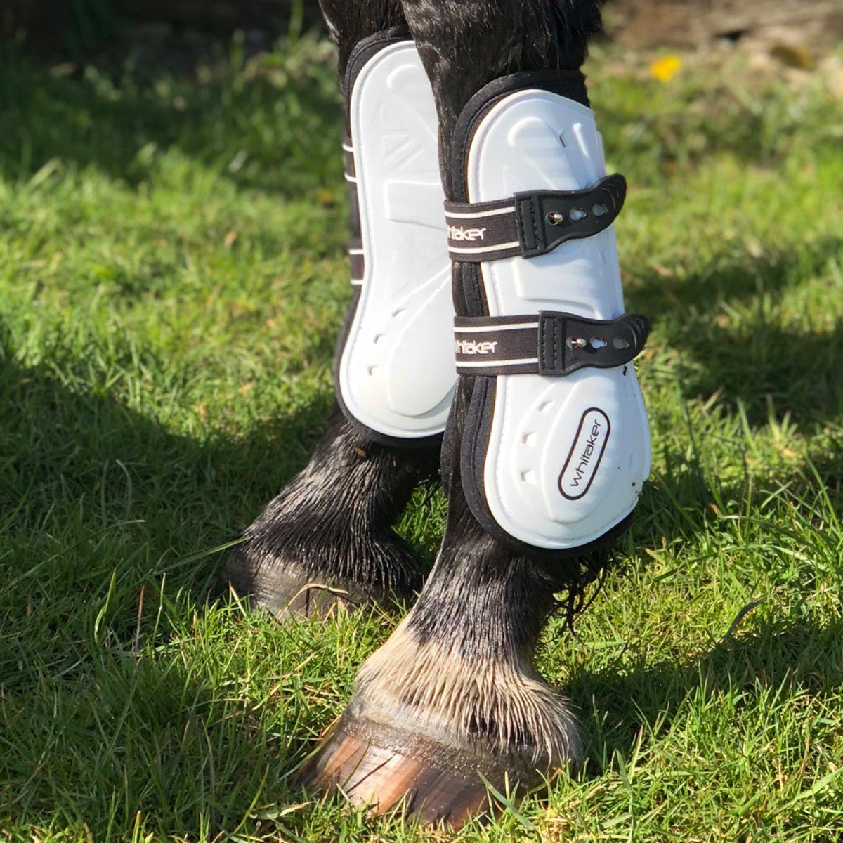 Whitaker Bingley Tendon & Fetlock Boot Set - Nags Essentials