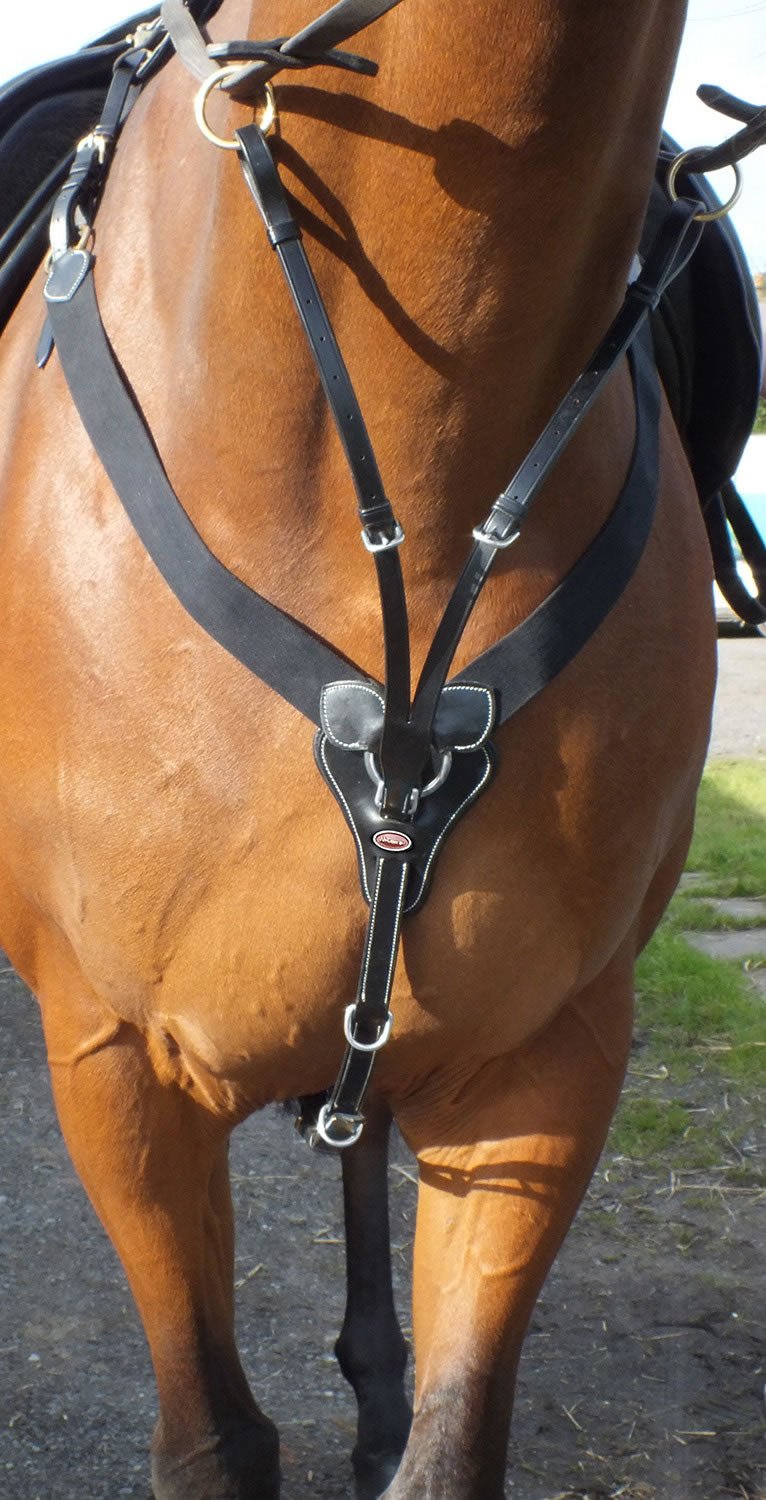 Whitaker Eastwood V-Check Elasticated Breastplate - Nags Essentials