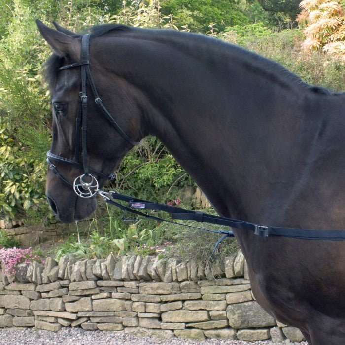 Whitaker Elastic Side Rein Navy - Nags Essentials