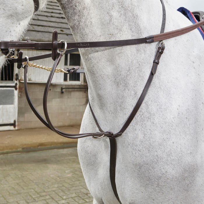 Whitaker Lynton Running Martingale - Nags Essentials