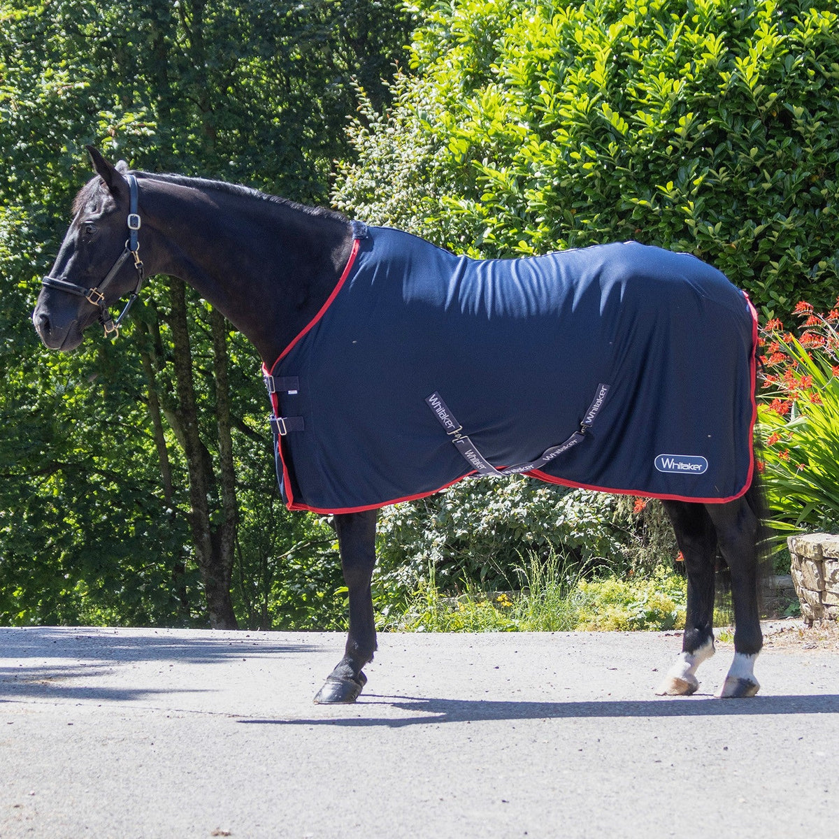 Whitaker R475 Rastrick V2 Cooler Rug Navy - Nags Essentials