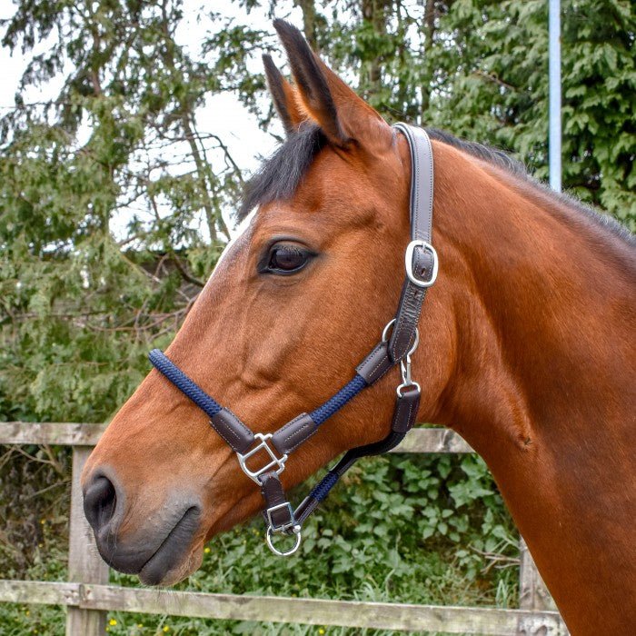 Whitaker Raywell Soft Rope Headcollar - Nags Essentials