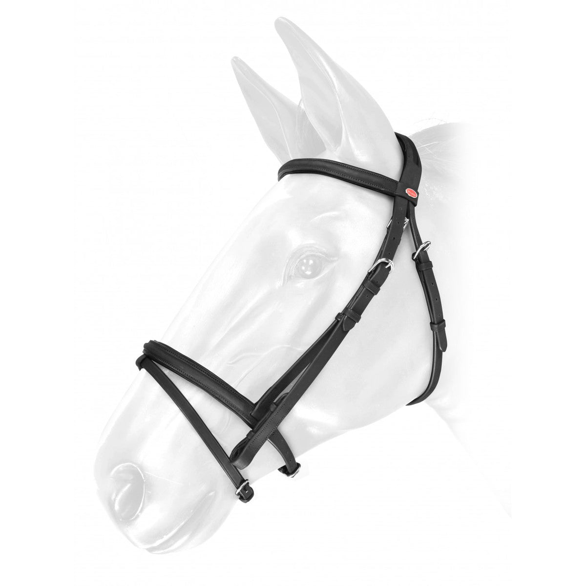 Whitaker Ready to Ride Flash Bridle - Nags Essentials