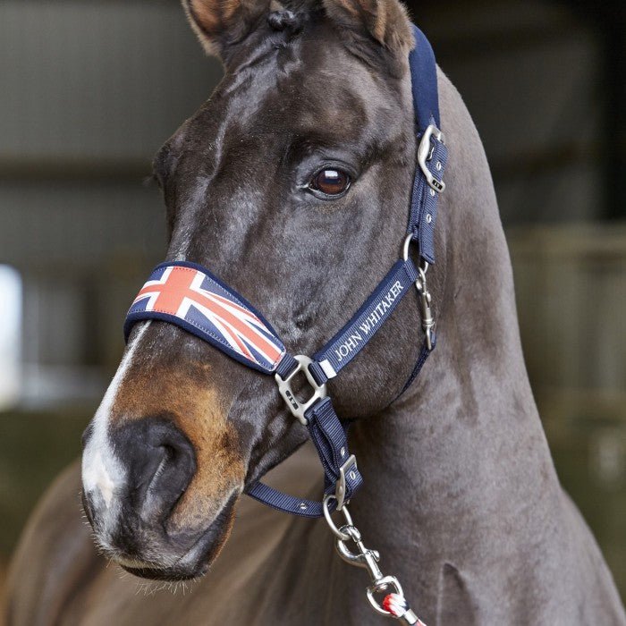 Whitaker Union Jack Headcollar - Nags Essentials