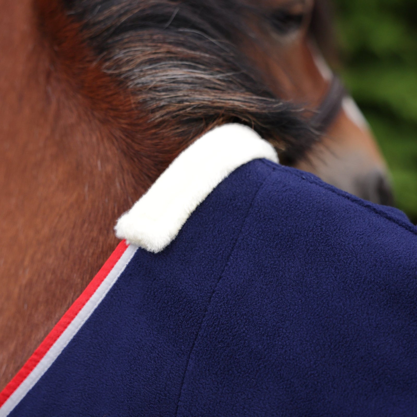 Winnie & Me Fleece Rug - Navy - Nags Essentials