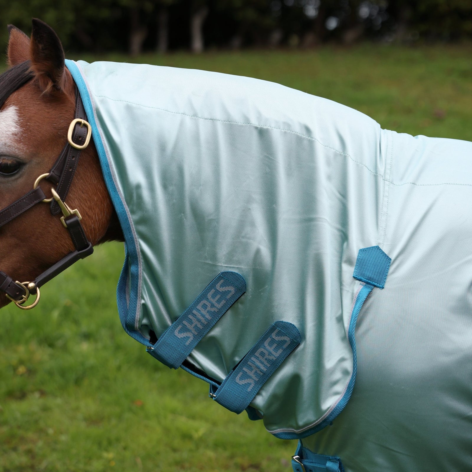 Winnie & Me Fly Combo Rug - Nags Essentials