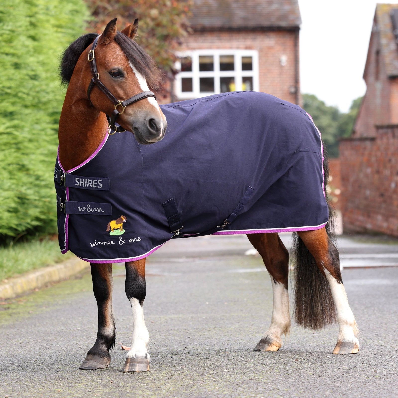 Winnie & Me Stable Sheet - Navy - Nags Essentials