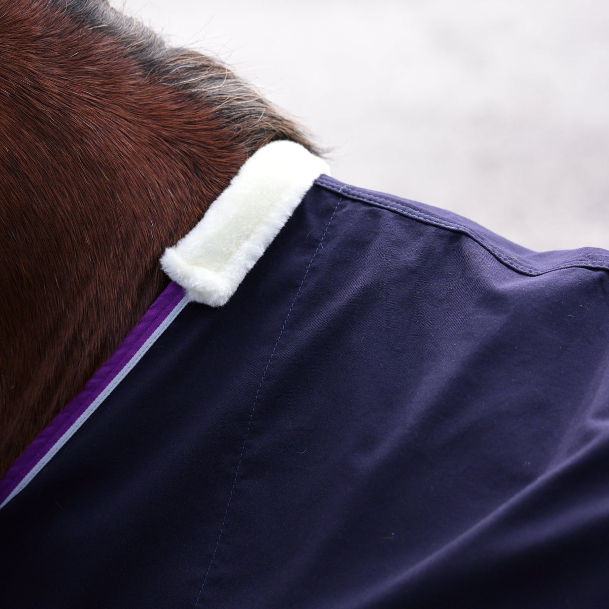 Winnie & Me Stable Sheet - Navy - Nags Essentials