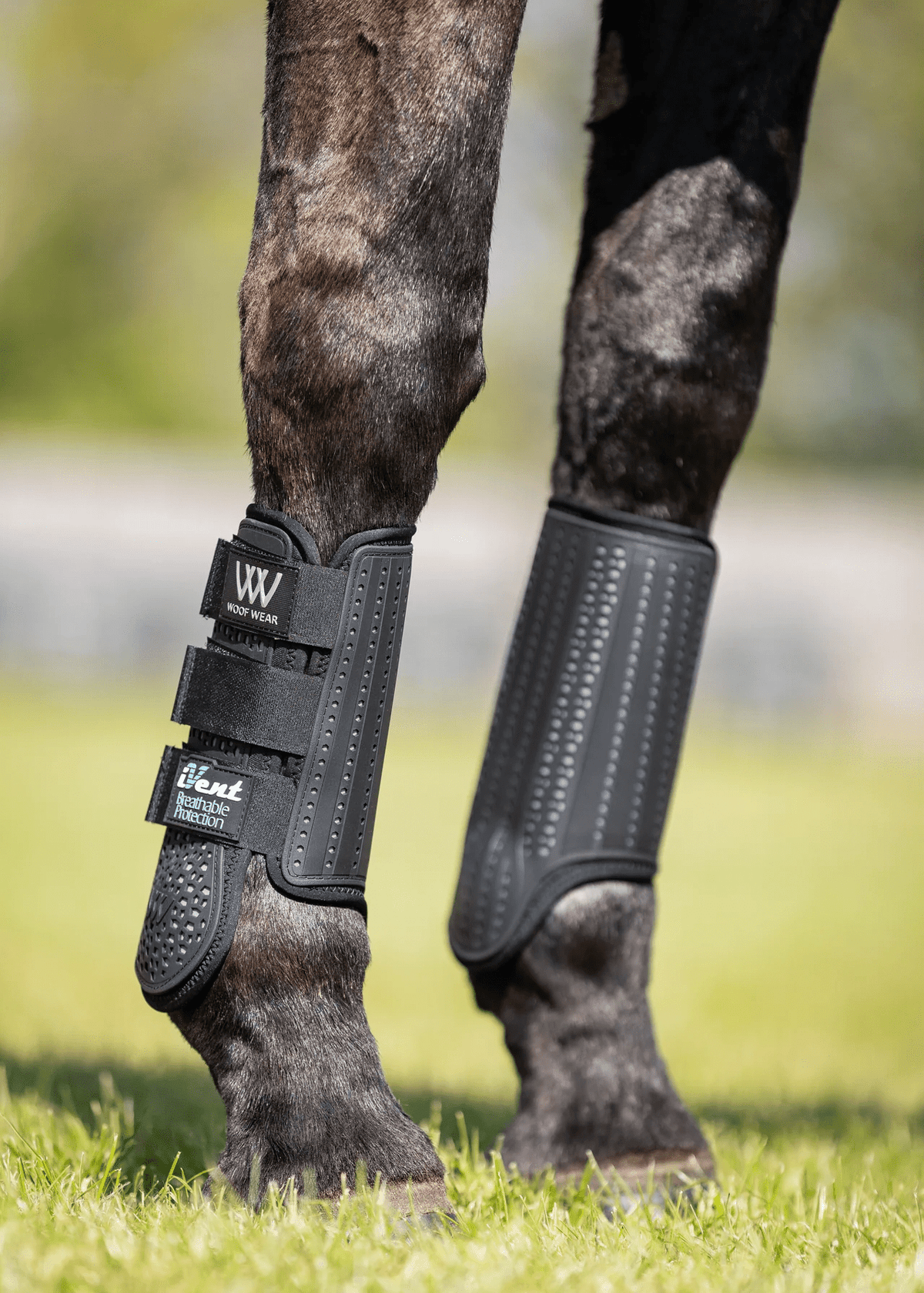 Woof Wear iVent Event Boot Front - Nags Essentials