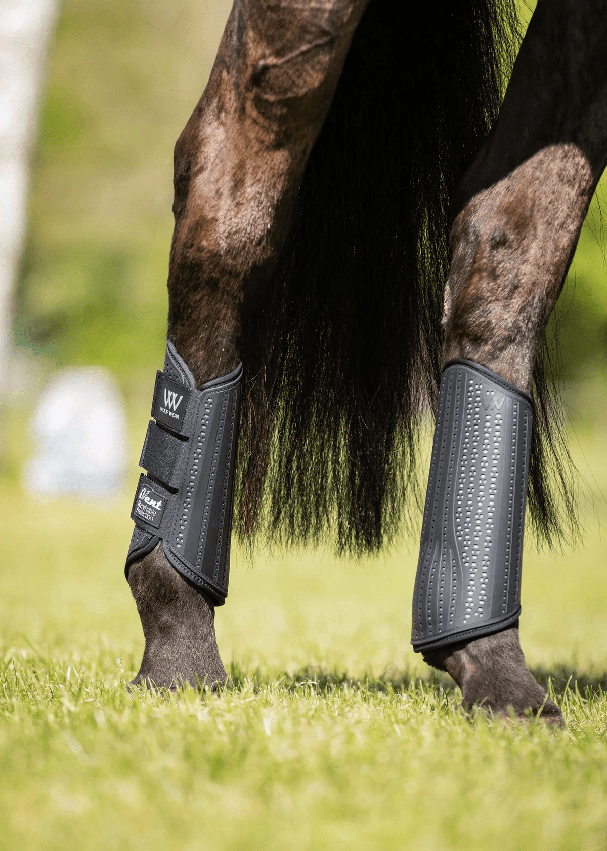 Woof Wear iVent Event Boot Hind - Nags Essentials