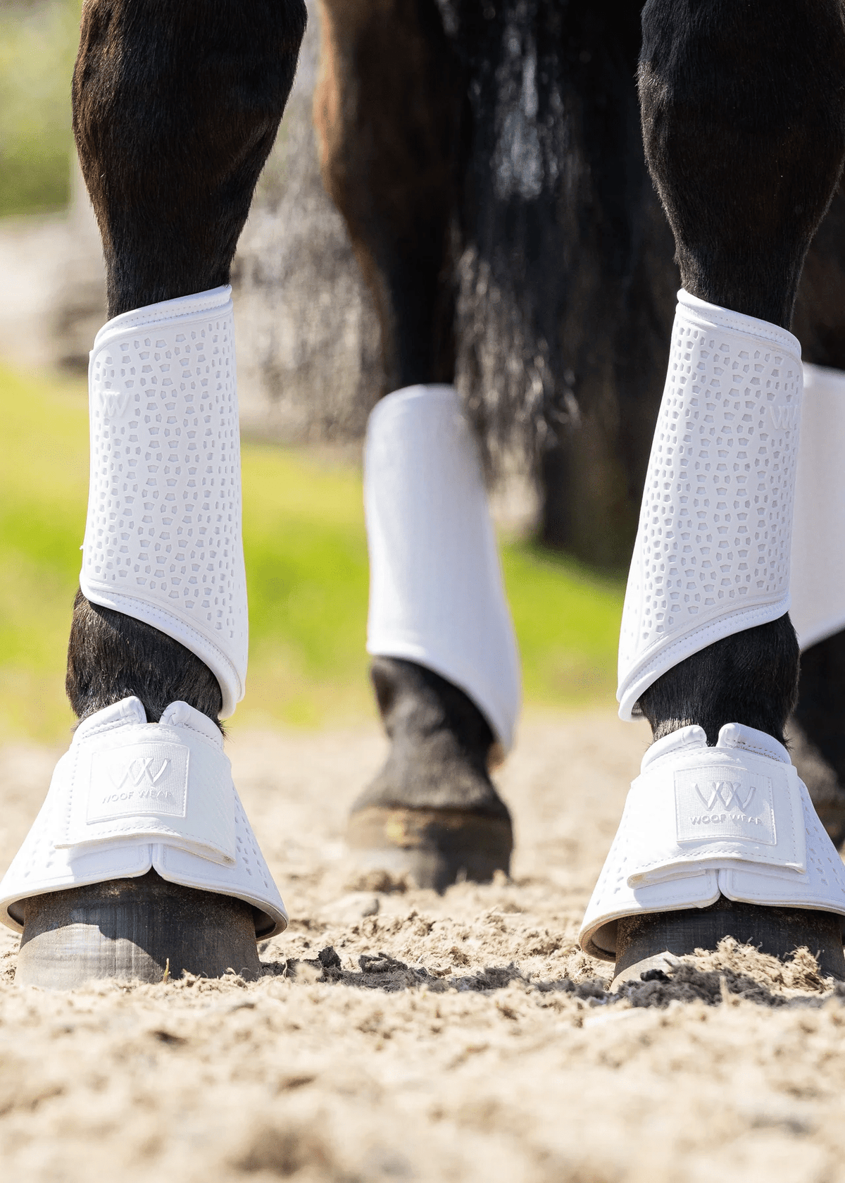 Woof Wear iVent Hybrid Boot - Nags Essentials