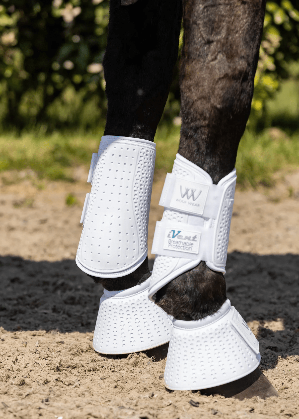Woof Wear iVent Overreach Boot - Nags Essentials