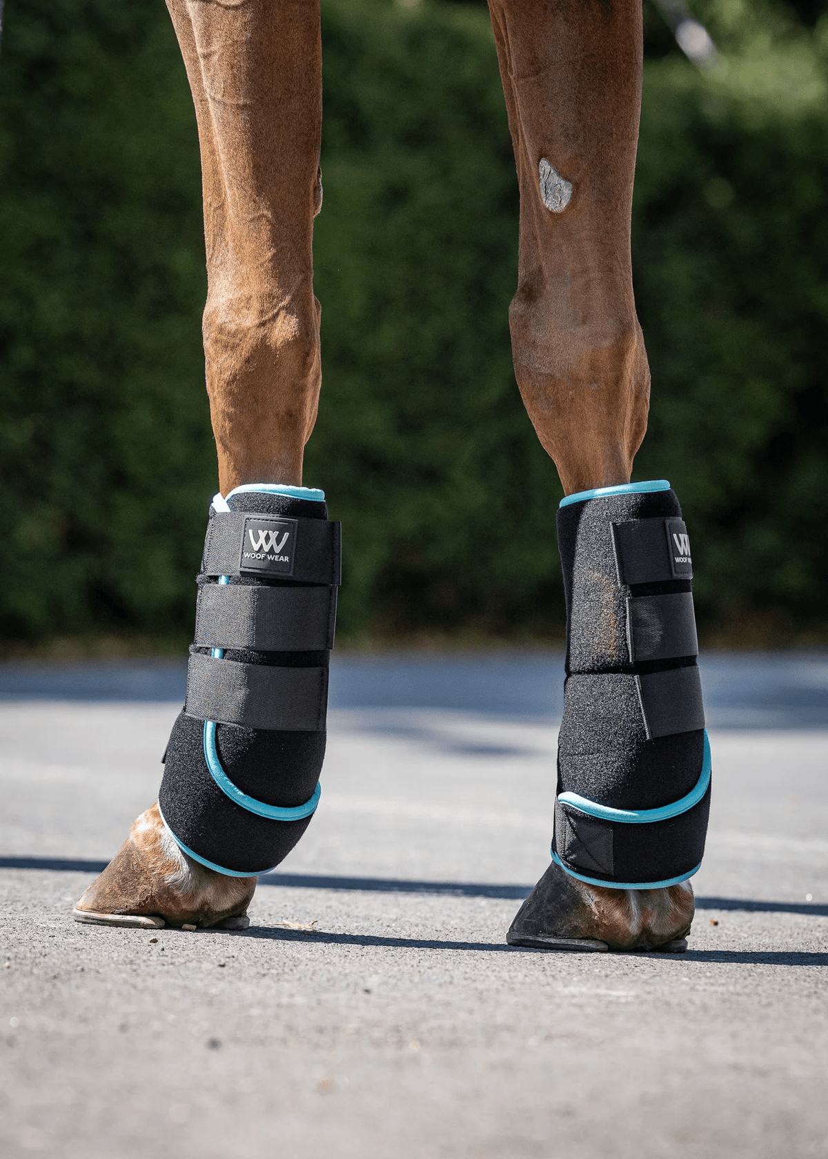 Woof Wear Polar Ice Boot - Nags Essentials