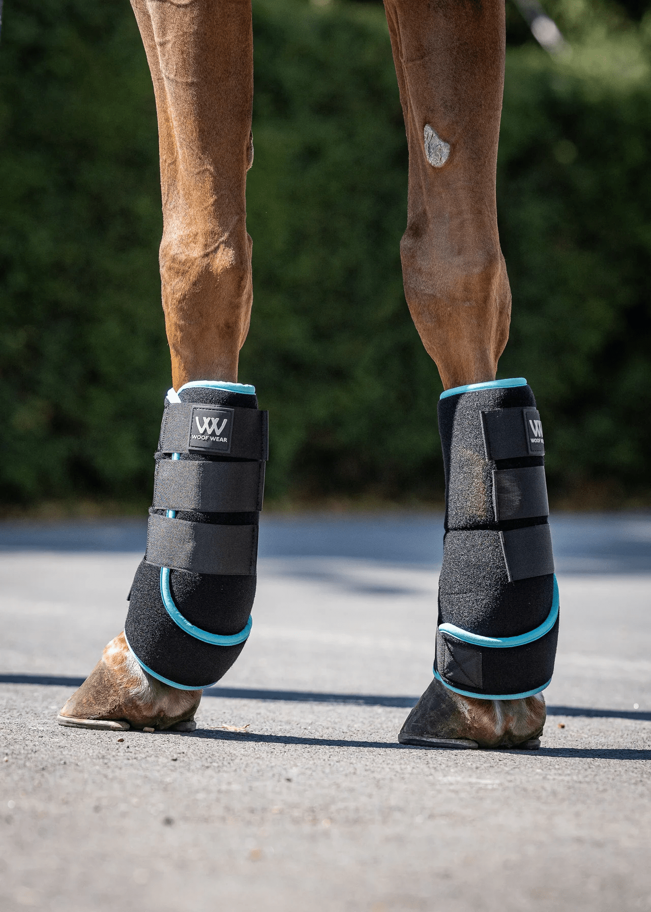 Woof Wear Polar Ice Boot - Nags Essentials