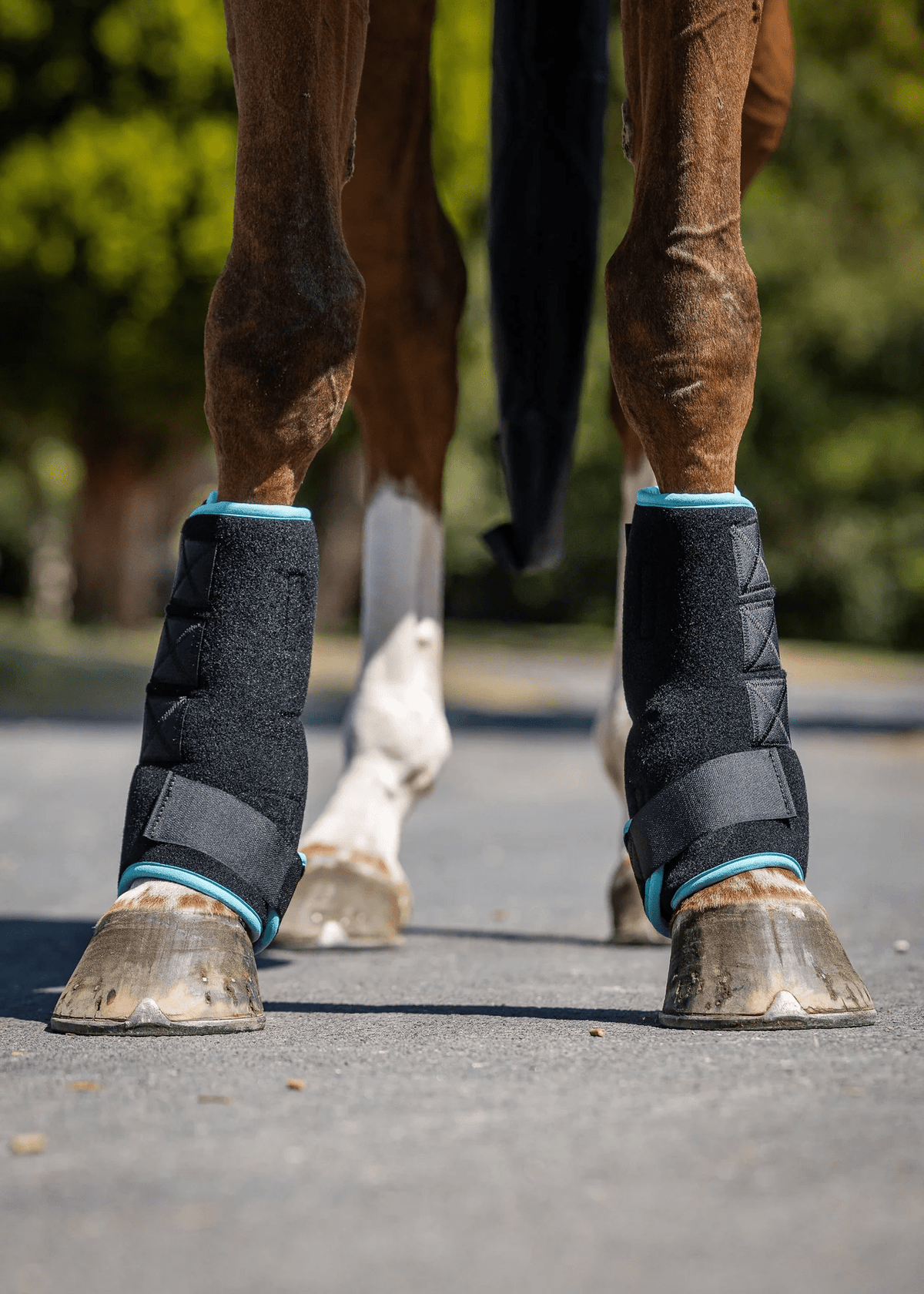Woof Wear Polar Ice Boot - Nags Essentials