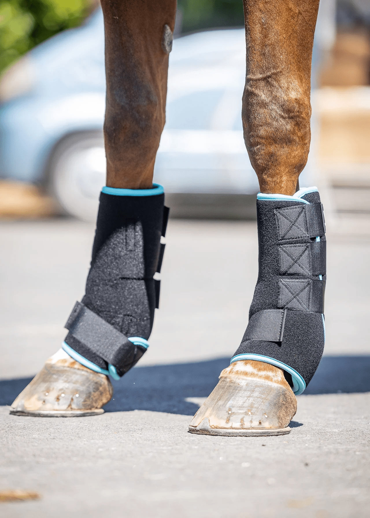 Woof Wear Polar Ice Boot - Nags Essentials