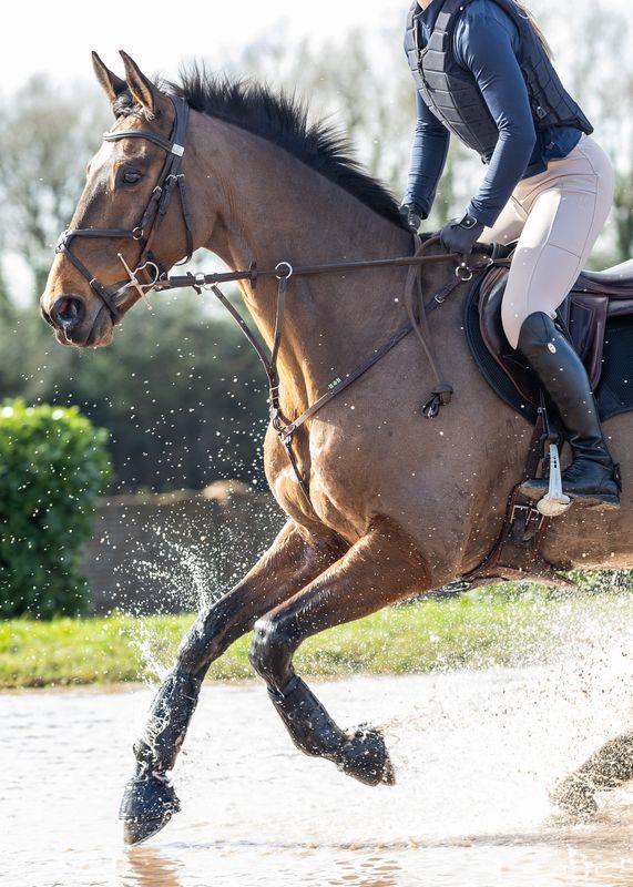 Woof Wear Pro Event Boot Front - Nags Essentials