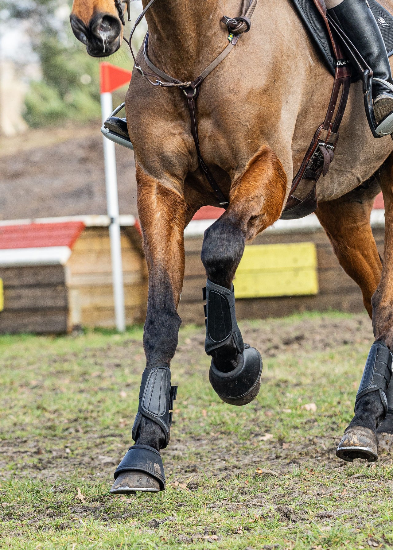 Woof Wear Pro Event Boot Front - Nags Essentials