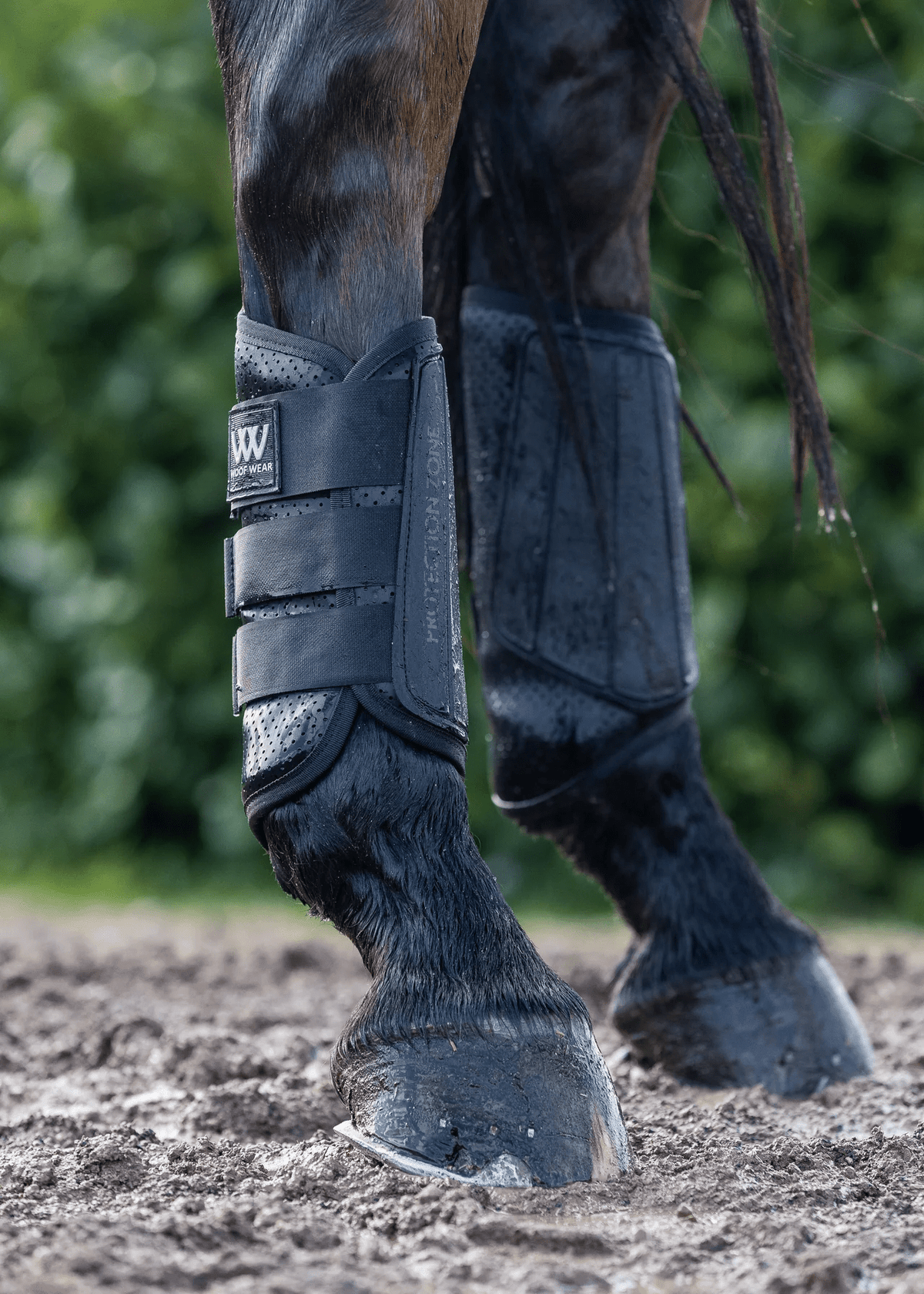 Woof Wear Pro Event Boot Hind - Nags Essentials