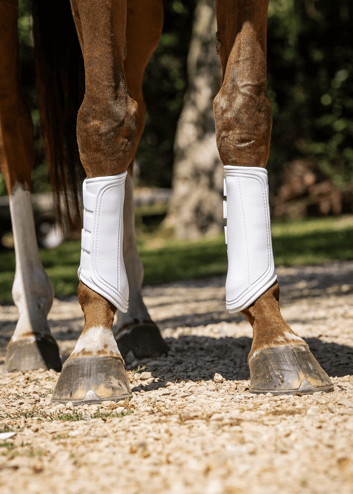 Woof Wear Single Lock Brushing Boot - Nags Essentials