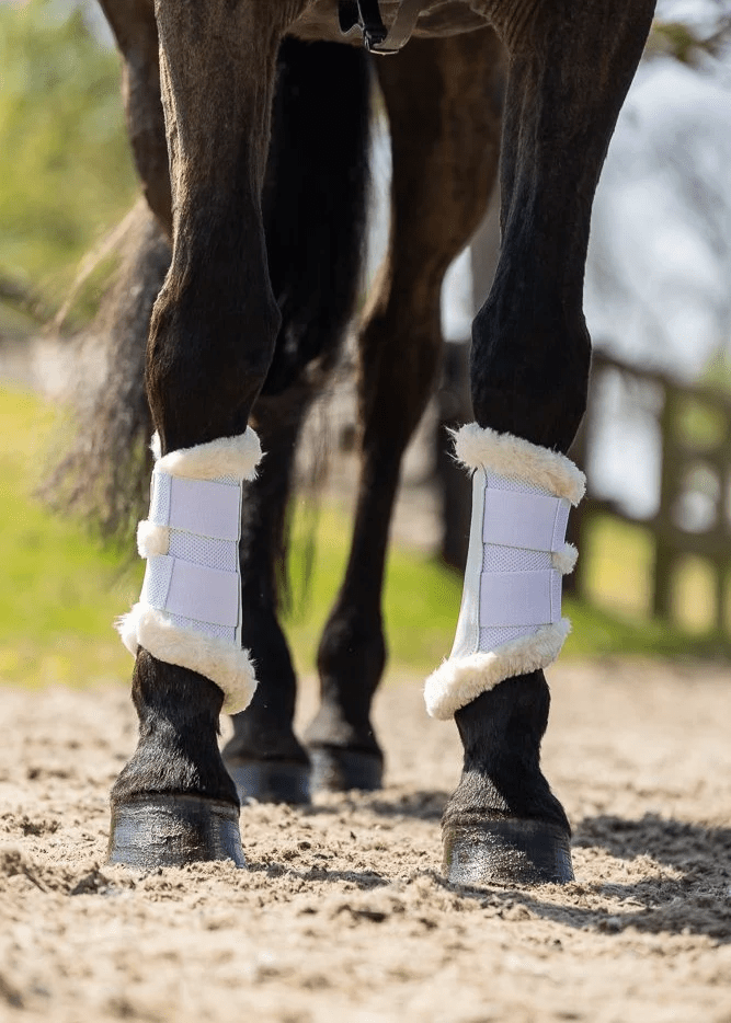 Woof Wear Vision Elegance Brushing Boot - Nags Essentials