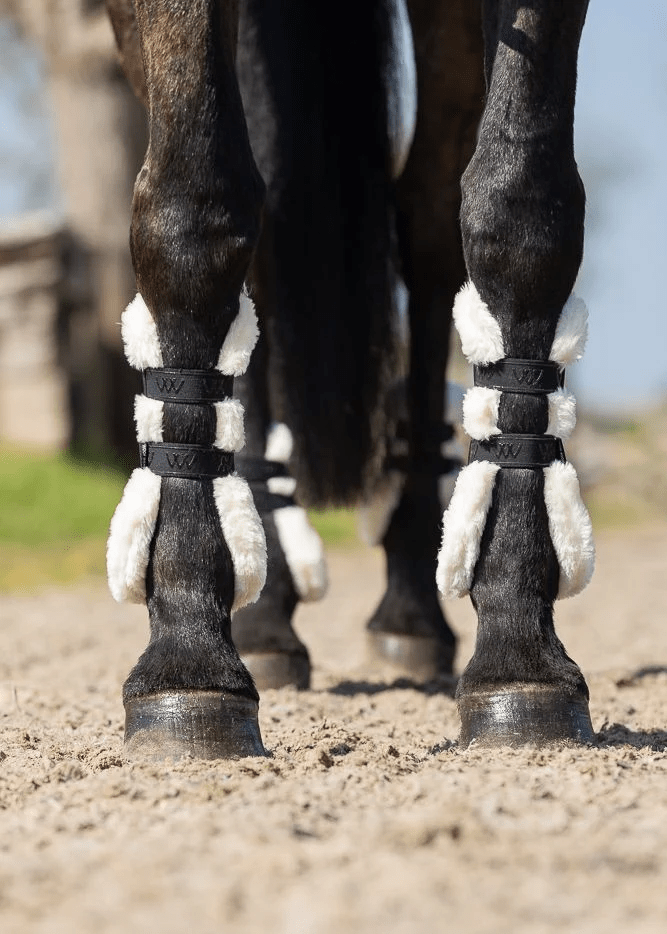 Woof Wear Vision Elegance Tendon Boot - Nags Essentials