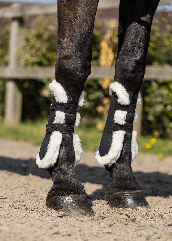 Woof Wear Vision Elegance Tendon Boot - Nags Essentials