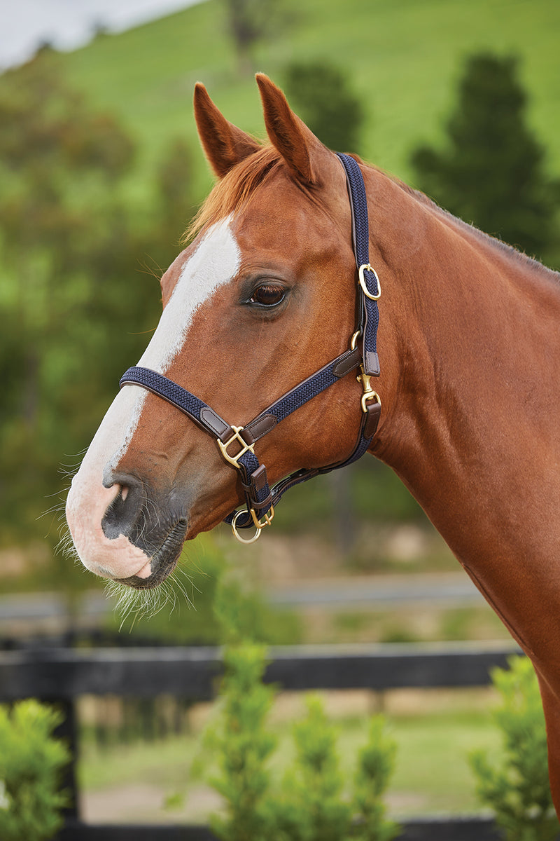 Kincade Braided Leather Headcollar