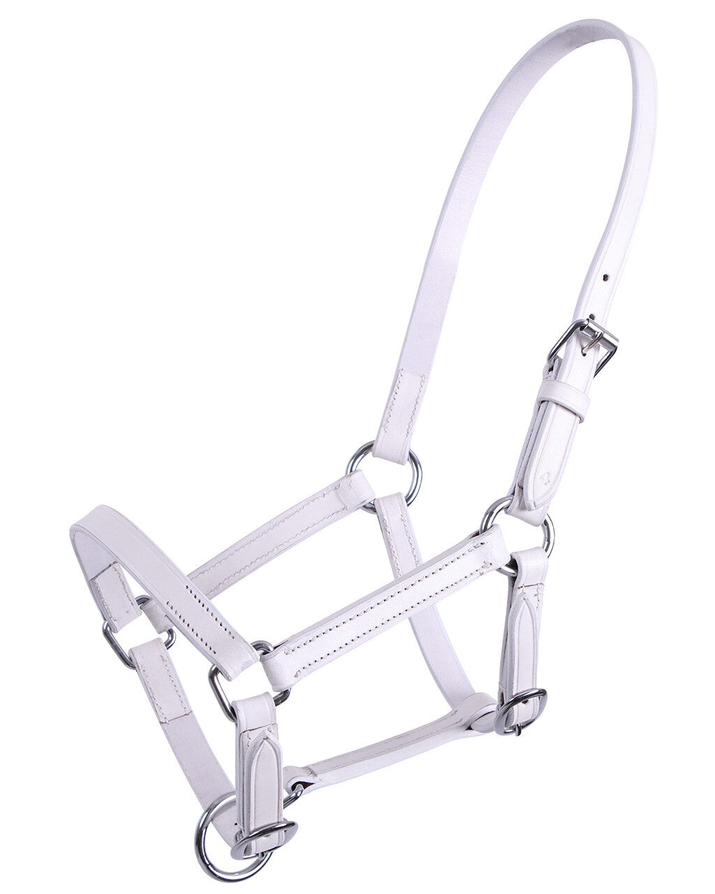 Foal Head Collar Chico