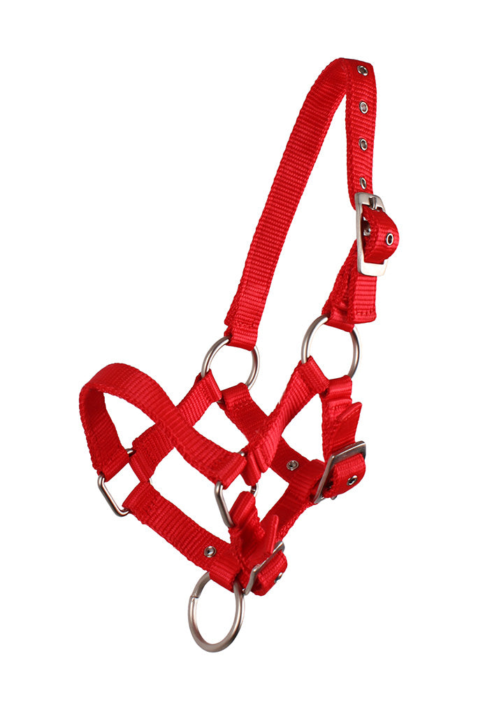 Foal Head Collar - Nags Essentials