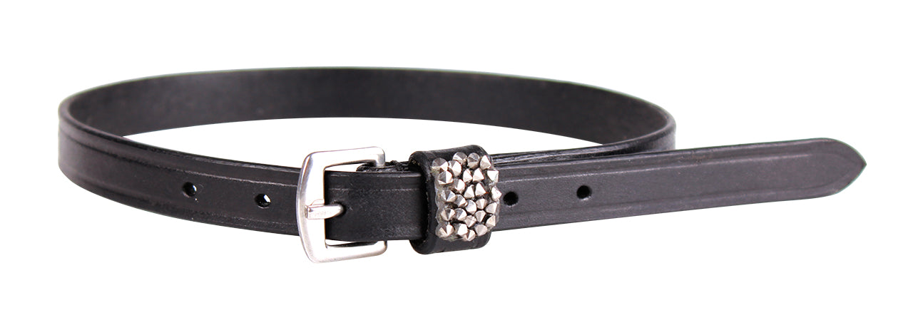 Spur Straps Lupine