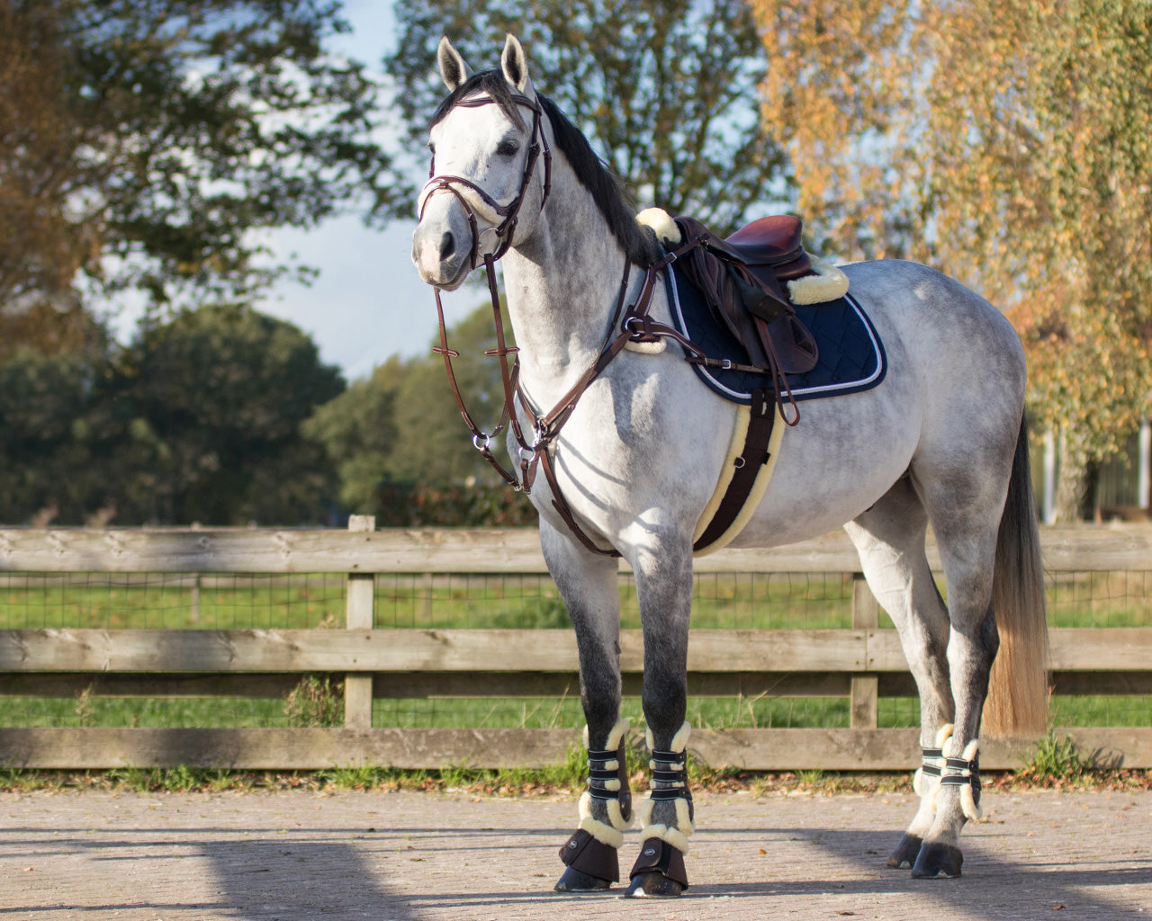 Ontario Breastplate - Nags Essentials