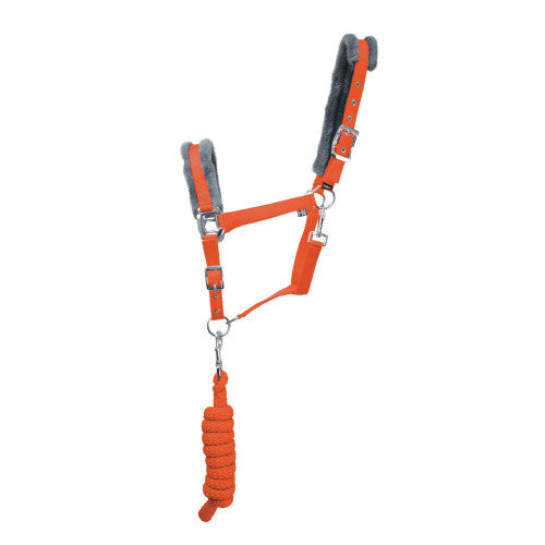 Hy Sport Active Head Collar &amp; Rope
