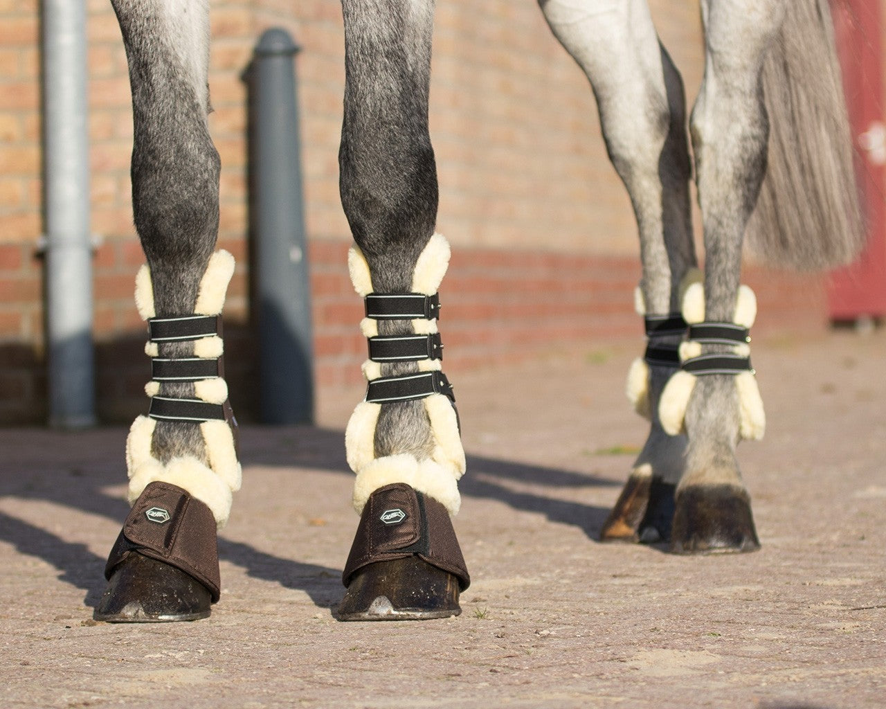 Ontario Tendon Boots - Nags Essentials