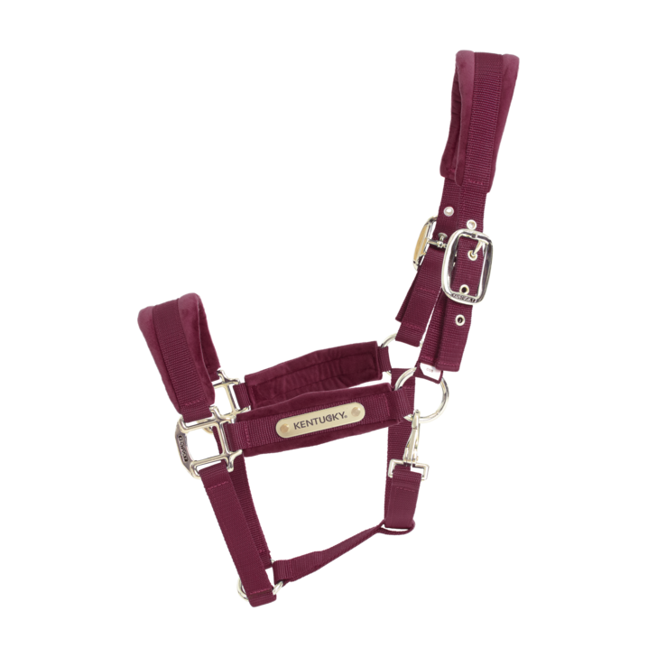Kentucky Velvet Head Collar
